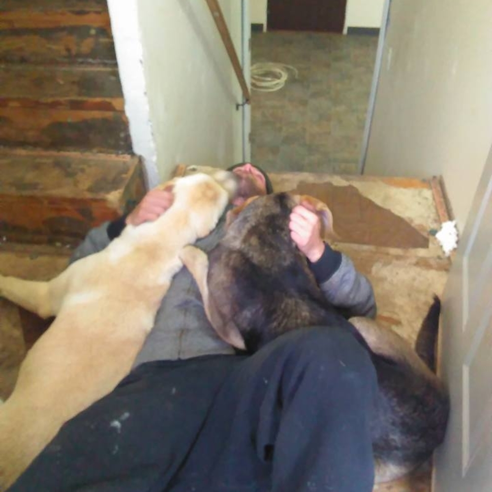 Meet your Posher, Ryan